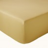 AMBRE AMBRE