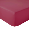 MAGENTA MAGENTA