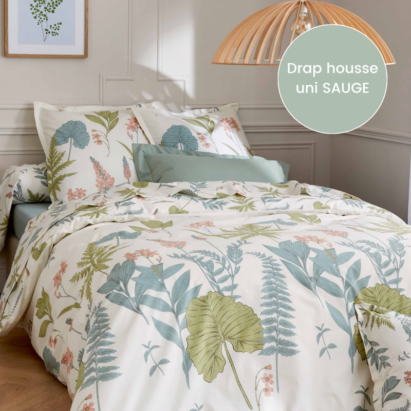 Drap housse percale Tradilinge FÉERIE SAUGE - Coloris SAUGE