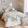 Housse de couette percale Tradilinge FÉÉRIE SAUGE Housse de couette percale Tradilinge FÉÉRIE SAUGE