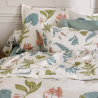 Taie percale Tradilinge FÉERIE SAUGE Taie percale Tradilinge FÉERIE SAUGE