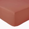 Drap housse percale Tradilinge ACAJOU Drap housse percale Tradilinge ACAJOU