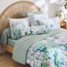 Traversin percale Tradilinge BALI Traversin percale Tradilinge BALI