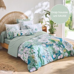 Drap housse percale Tradilinge uni SAUGE (Bali)