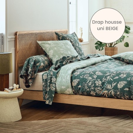 Drap housse percale Tradilinge uni BEIGE (Eloïse Cyprès)