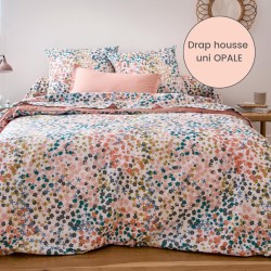 Drap housse percale Tradilinge uni OPALE (Lolita Opale)