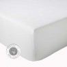 Drap Housse percale Tradilinge PLUMES - BLANC