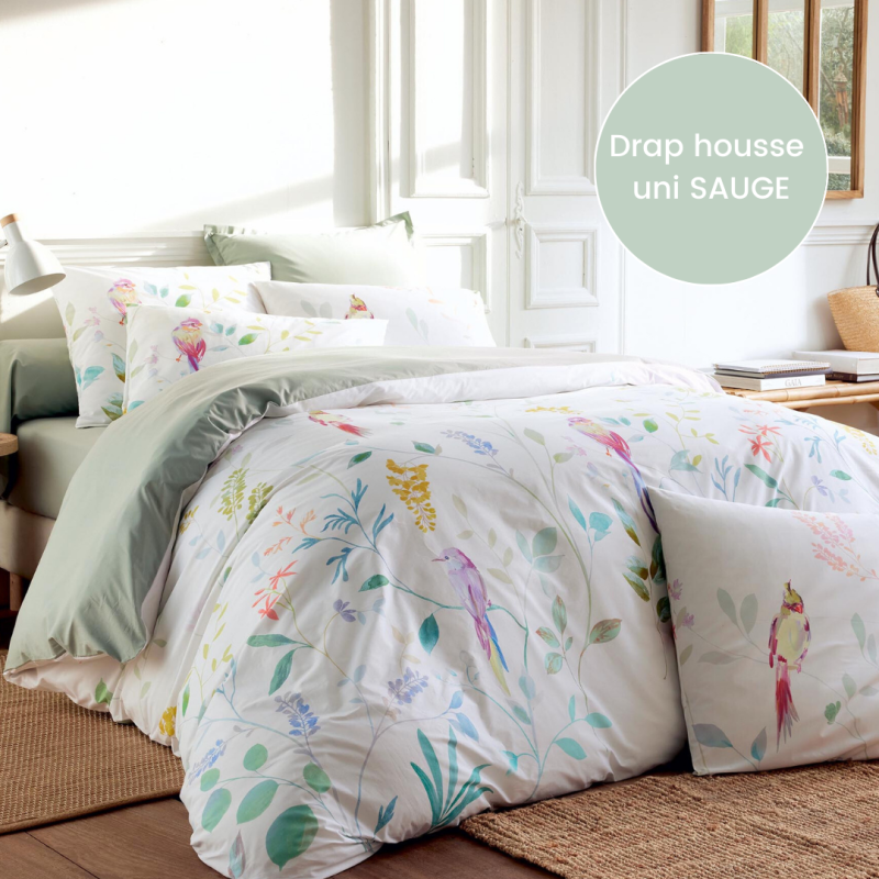 Drap housse percale Tradilinge uni SAUGE (Zéphyr)