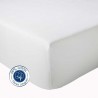 Drap Housse 100% coton Blanc Drap Housse 100% coton Blanc