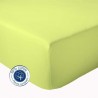 Drap Housse 100% coton Anis Drap Housse 100% coton Anis