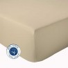 Drap Housse 100% coton Seigle Drap Housse 100% coton Seigle