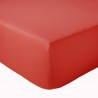 CORAIL CORAIL