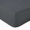 ANTHRACITE ANTHRACITE
