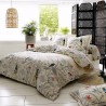 Drap Housse Tradilinge AMAZONIA - Coloris ECRU LAVE Drap Housse Tradilinge AMAZONIA - Coloris ECRU LAVE