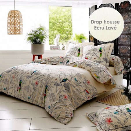 Drap  Tradilinge AMAZONIA