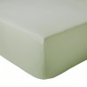 Drap Housse 100% coton Amande Drap Housse 100% coton Amande