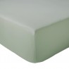 Drap housse Percale Tradilinge SAUGE Drap housse Percale Tradilinge SAUGE